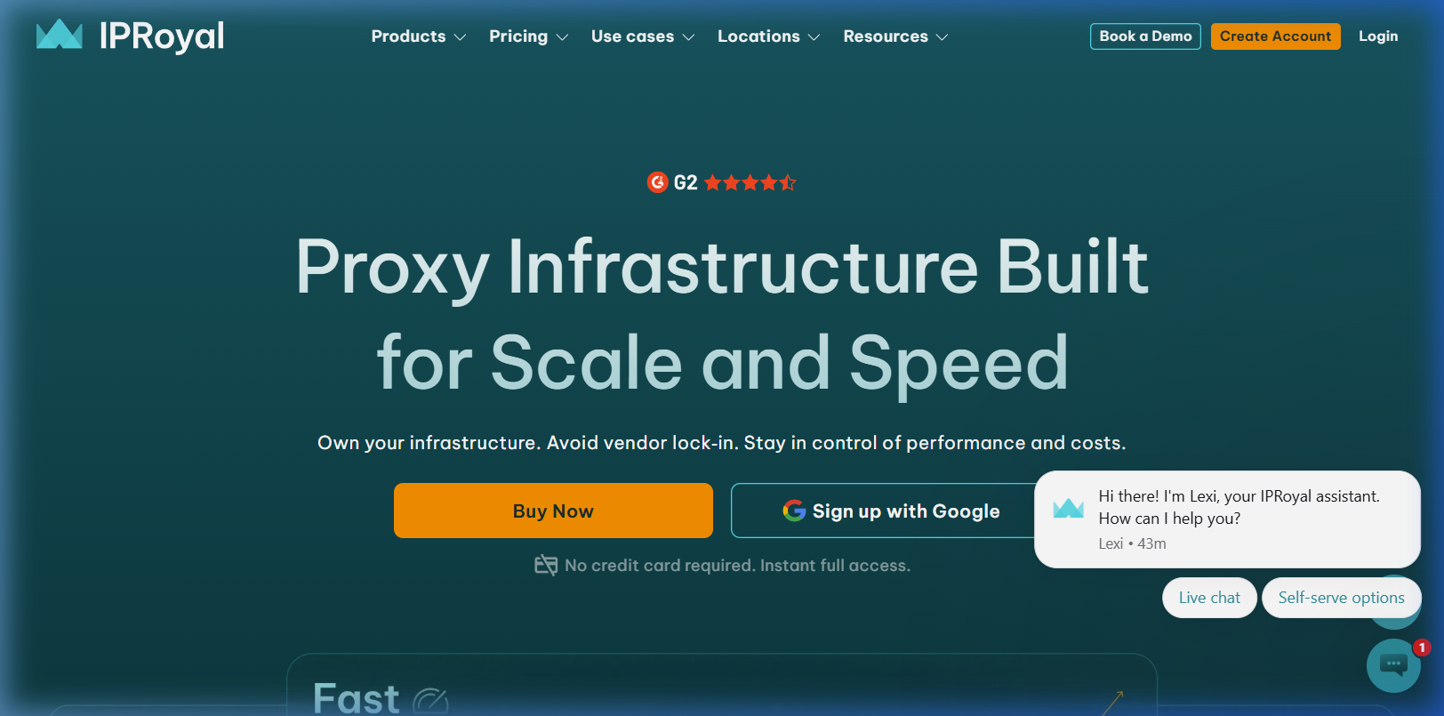 IPRoyal Website Screenshot